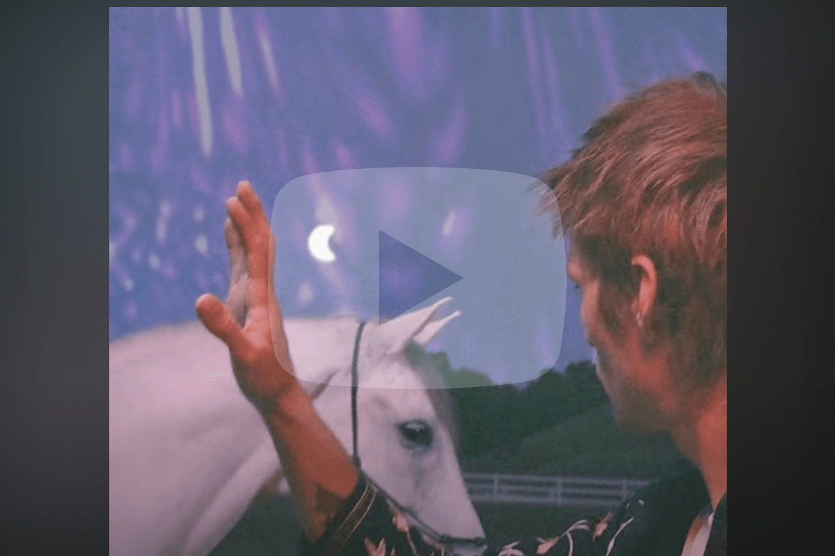 Handoff - Joshua Speers